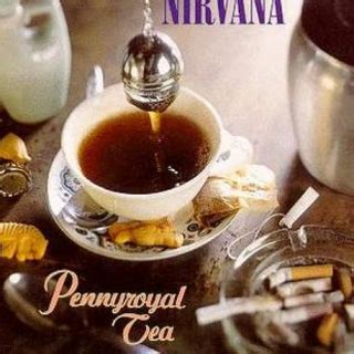 Pennyroyal Tea Meaning and Its Deeper Connotations